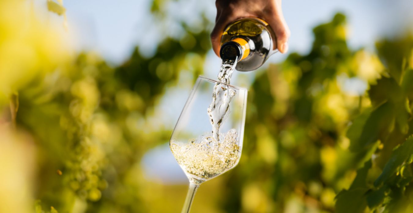 Pinot Grigio või Pinot Gris?