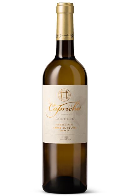Gancedo Godello Capricho Val De Paxarinas 13,5% 0,75L 